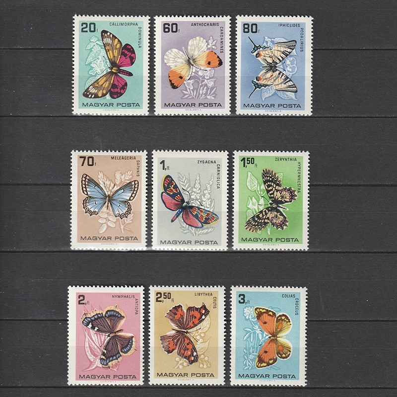 Lepke (Fluturi) LP2247-2255 1966