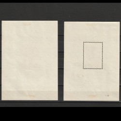 Bethlen Blokkpár LP654-655 cu Stampila de Ocazie Ungaria 1939