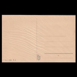 Carte poștală veche Oradea – Malul Crisului cu Primaria – 1915