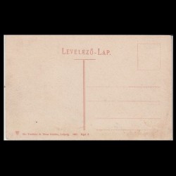 Carte poștală veche Oradea – Primaria – 1907