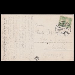 Carte poștală veche Oradea – Városháza (Primaria Oradea) – 1916